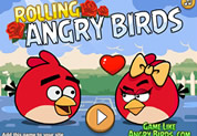 Rolling Angry Birds